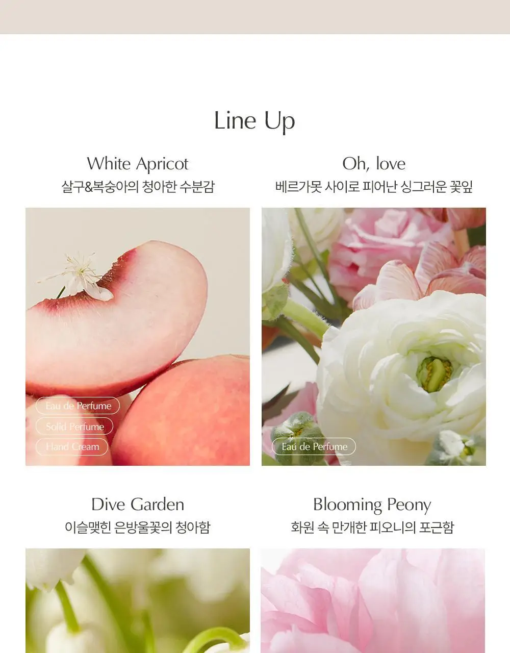 [리뉴얼] 루아페 화이트 애프리콧 핸드크림 40ml 상세페이지 17